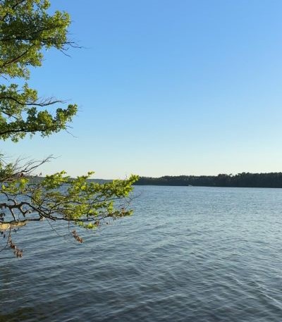 Blick auf den Werbellinsee unter blauem Himmel